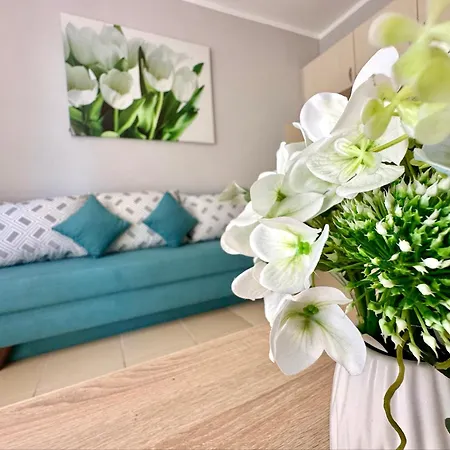 Apartman Jasmine - Menada Napospart